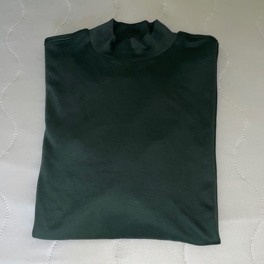 Luxurious Turtleneck